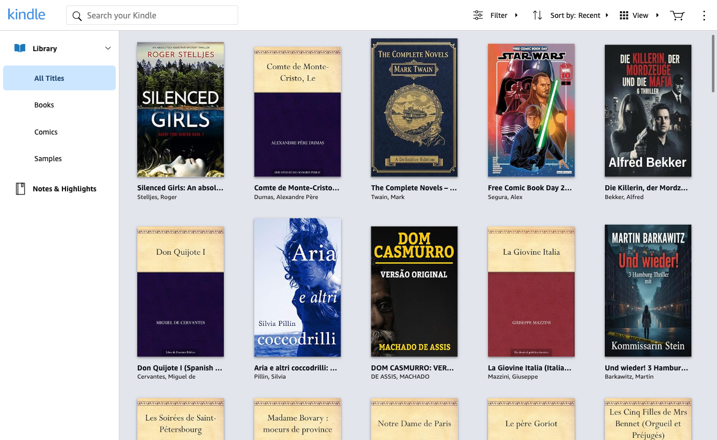 The Kindle Cloud Reader library, showing book covers